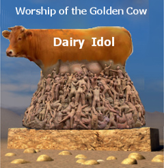 Worship of the Dairy Cow