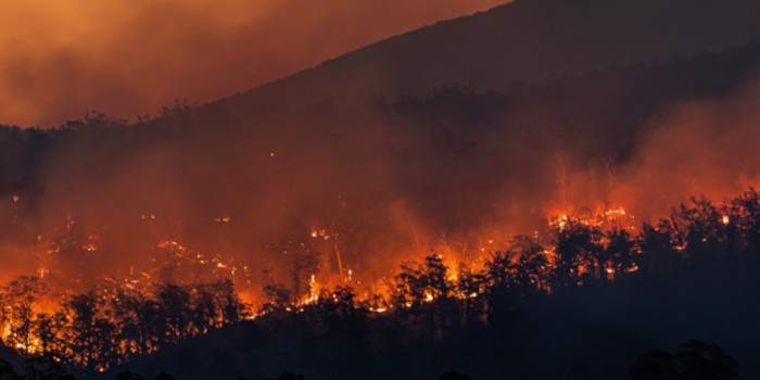 Wildfires in California