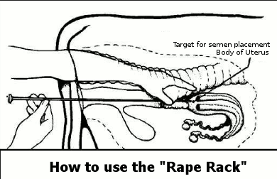 Diagram of a rape rack used on cows